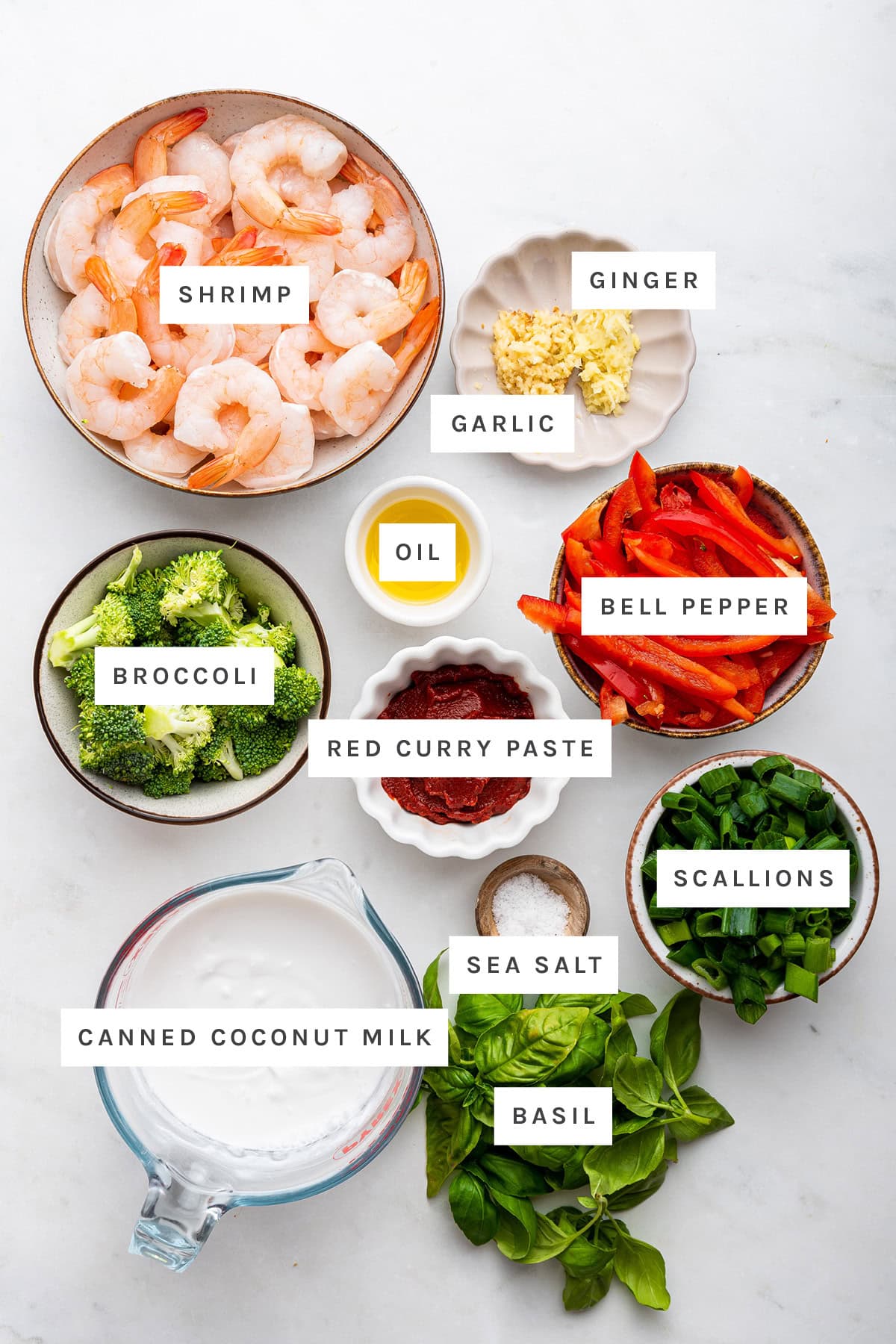 Ingredients measured out to make Coconut Shrimp Curry: shrimp, garlic, ginger, oil, broccoli, red curry paste, bell pepper, sea salt, scallions, canned coconut milk and basil.