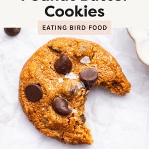 Flourless Peanut Butter Cookie topped with chocolate chips and salt with a bite taken from it.