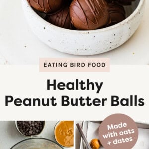 Bowl of peanut butter balls coated in chocolate. Photo below shows the process to make the balls but adding dates and oats to a blender, and then dipping the peanut butter balls in chocolate.